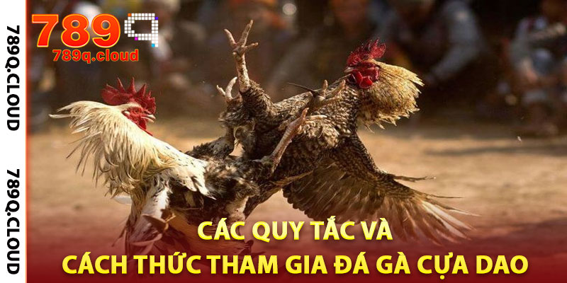 đá gà cựa dao