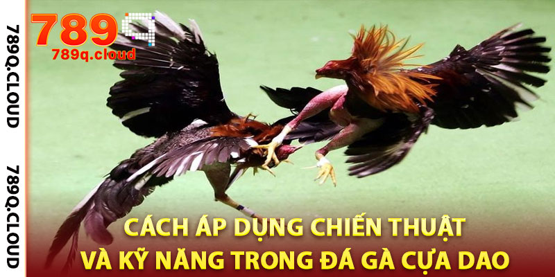 đá gà cựa dao